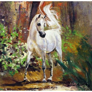 Shan Amrohvi, 12 x 12 inch, Acrylic On Canvas, Horse Painting, AC-SA-140